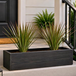 May include: A rectangular, dark stained wooden planter box with two spiky green and red-tipped plants. The planter sits on a concrete step, with a door and a fern in the background. The box is approximately 36 inches long.