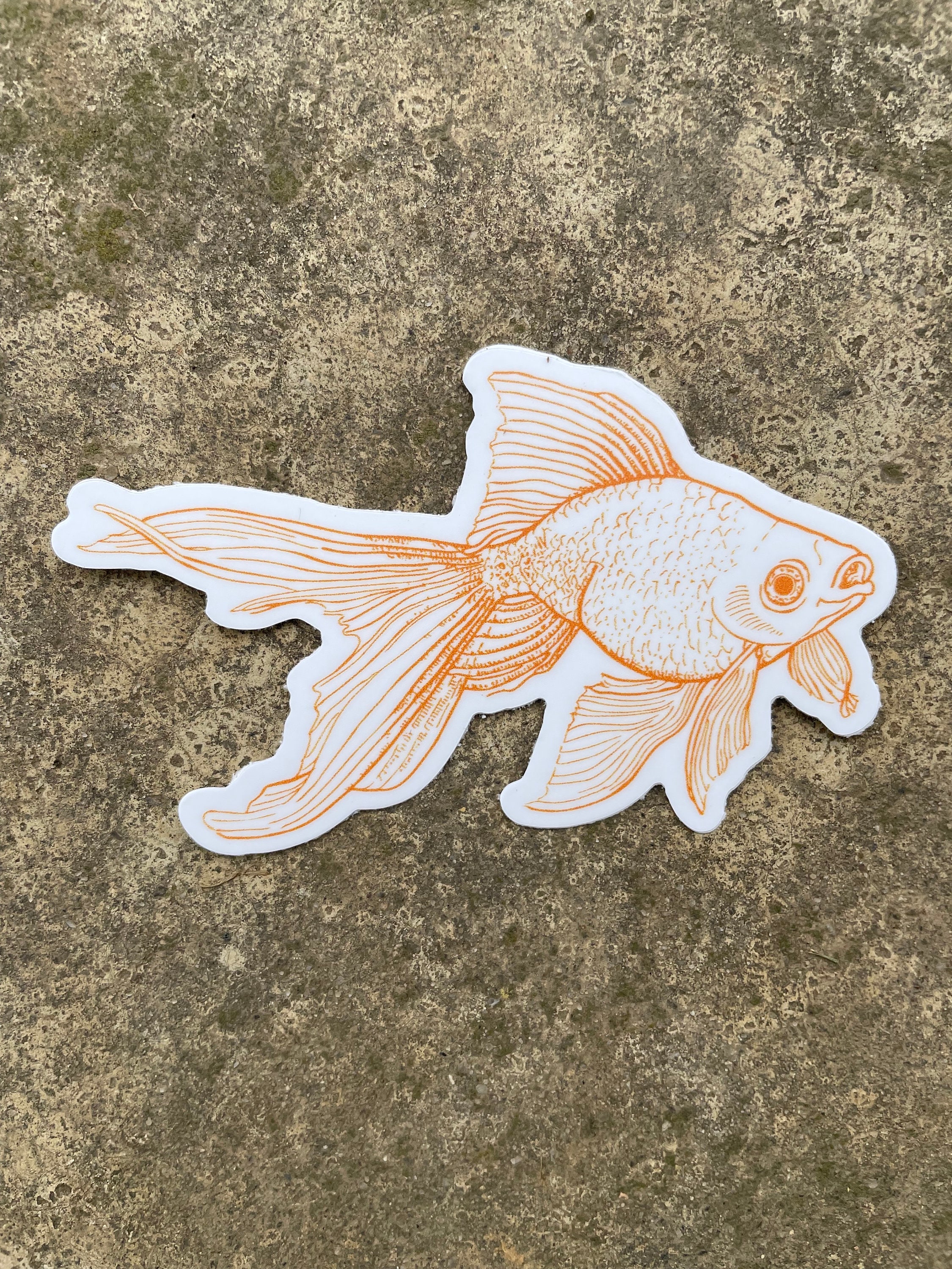 Fat Goldfish Sticker Goldfish Vinyl Sticker: Die-cut, Waterproof Humorous Fish Decal - Etsy