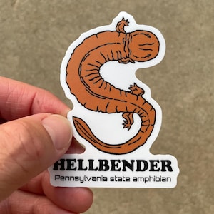 May include: A sticker featuring an orange Hellbender salamander illustration. The sticker has a white border and text that reads "HELLBENDER" and "Pennsylvania state amphibian".