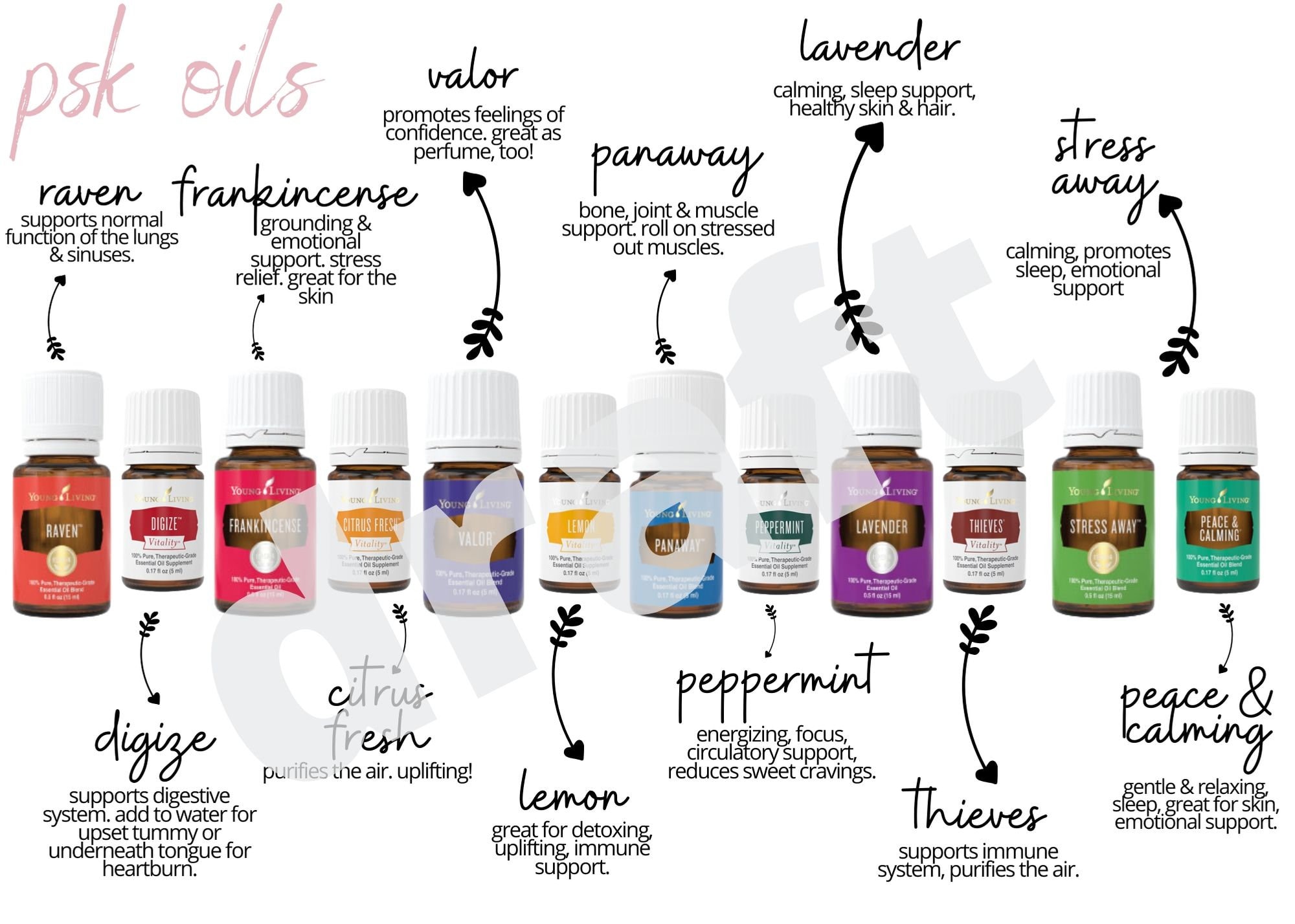 Young Living Premium Starter Kit Oils Description Digital File Etsy