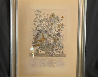 Vintage Hand Colored Framed Print Wythe House Florals, ‘JUNE’ From ‘12 Months of Flowers’ Series ;Art by Robert Furber 1730 /1970s
