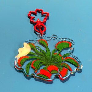 May include: A clear acrylic keychain featuring a printed illustration of a green Venus flytrap plant with vibrant red interior traps. The keychain is attached to a bright red, flower-shaped plastic clasp, providing a secure way to hang the item.