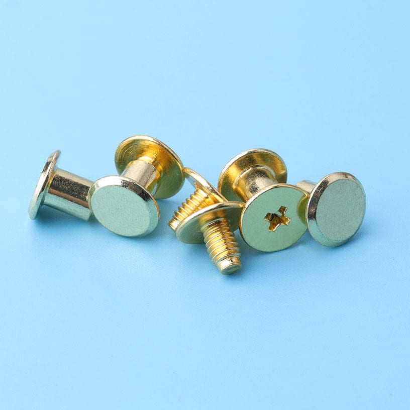 louis vuitton bag screws