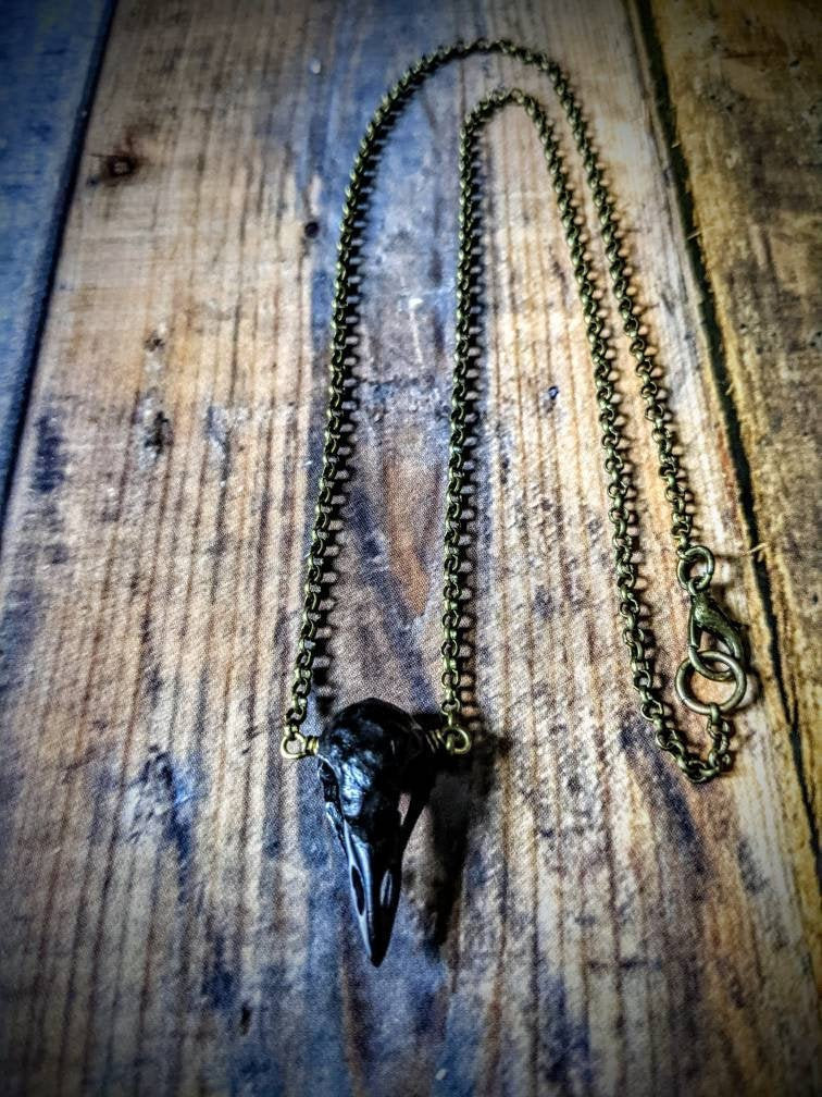 May include: A black bird skull pendant necklace with a brass chain. The chain has a lobster clasp closure.