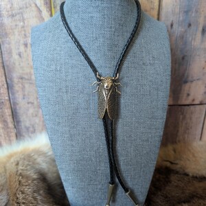 May include: A black leather bolo tie with a gold-toned cicada pendant. The pendant is detailed with intricate wings and a textured body.