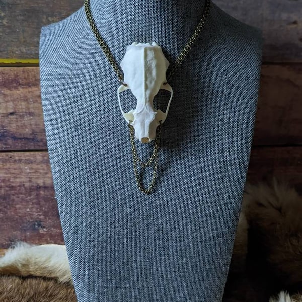 Ethically Sourced Animal Skull Necklace - witchy - vulture culture - oddity - taxidermy - bone - oddities - serpentinecreative - jewelry