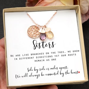 Personalized birthday gift for Sisters birthstone Necklace Sister mothers day Gift for Sister best friend gift 1 2 3  sisters gifts for her