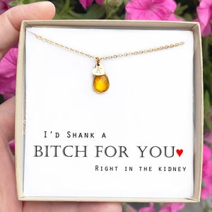 SHANK A BITCH Necklace Gift for Her Personalized Funny Gift for Female friends Sister Coworkers Best Friend valentines Birthday gift Jewelry