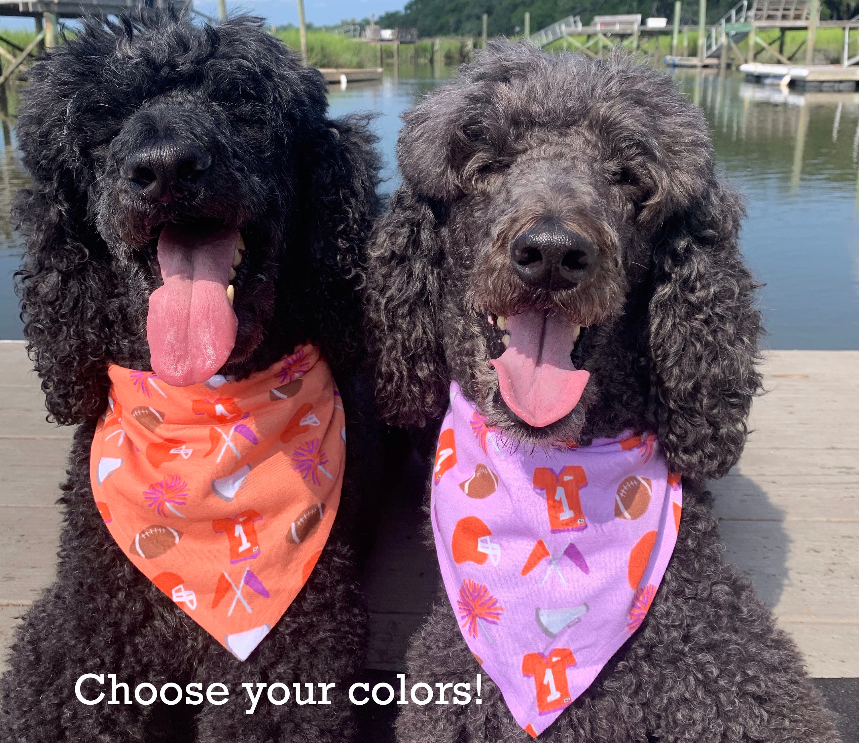 Football Dog Bandana Gameday Clemson UNC USC Ole Miss