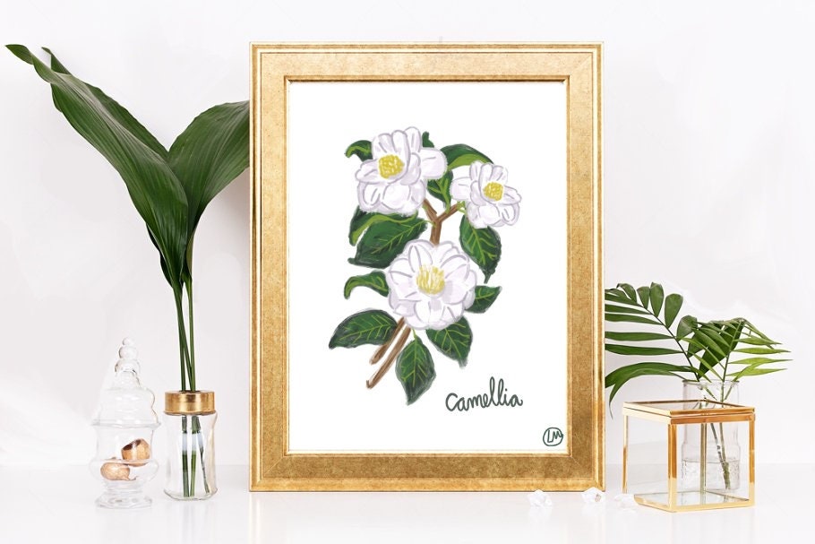 White Camellia Painting Print Southern Blooms Etsy