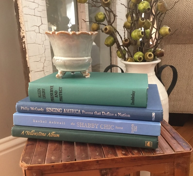 Vintage Books Shelf Blue Coffee Table Farmhouse Decor Bookshelf Accent Green