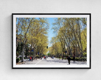 Fine Art Photography Prints, Canvas Wall Art - Paseo del Prado in Madrid, Spain