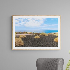 Fine Art Photography Prints, Canvas Wall Art - Cactuses on the Beach in Tenerife