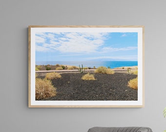 Fine Art Photography Prints, Canvas Wall Art - Cactuses on the Beach in Tenerife