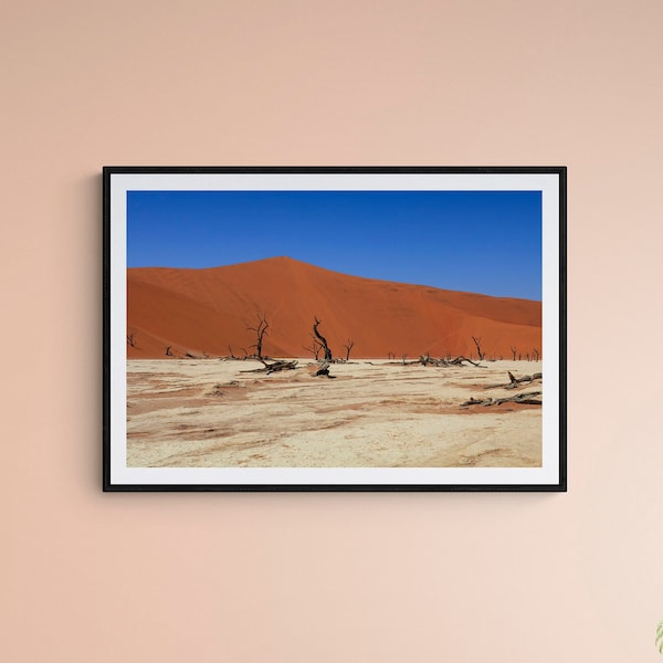 Fine Art Photography Prints, Canvas Wall Art - Sossusvlei Trees in Namibia