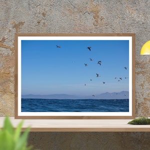 Capo Sula che vola sul mare / Fotografia su carta artistica / Foto lucida / o tela tesa