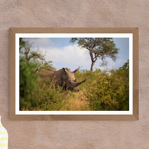 Rinoceronte bianco in Sud Africa / Fotografia su carta artistica / Foto lucida / o tela tesa