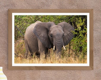 African Elephant | Photograph on Fine Art Paper | Photo Luster | or Stretched Canvas