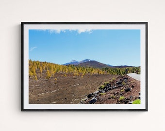 Stampe fotografiche d'arte, quadri su tela - Alberi del Monte Teide, Tenerife, Spagna