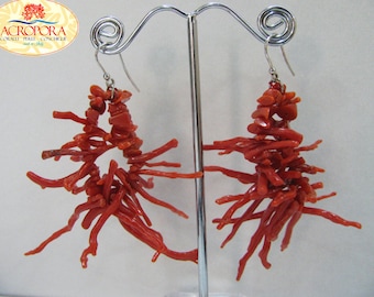 Red coral fringe earrings, coral branch earrings. Coral fringe, red coral, coral earrings, drop earrings