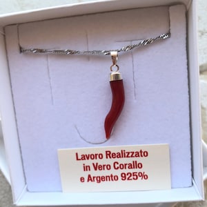 Auténtico colgante de cuerno de coral rojo sin teñir montado en plata, cuerno, amuleto, marco rojo, cuerno de la suerte