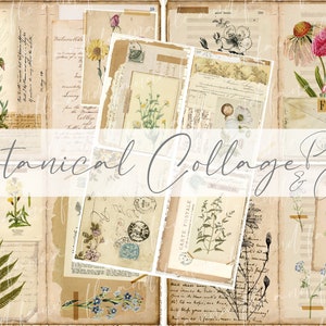 Páginas de colagem botânica e cartões de diário. Kit de diário lixo digital vintage, papéis para impressão, download instantâneo, coleção de papel A4, Jpeg