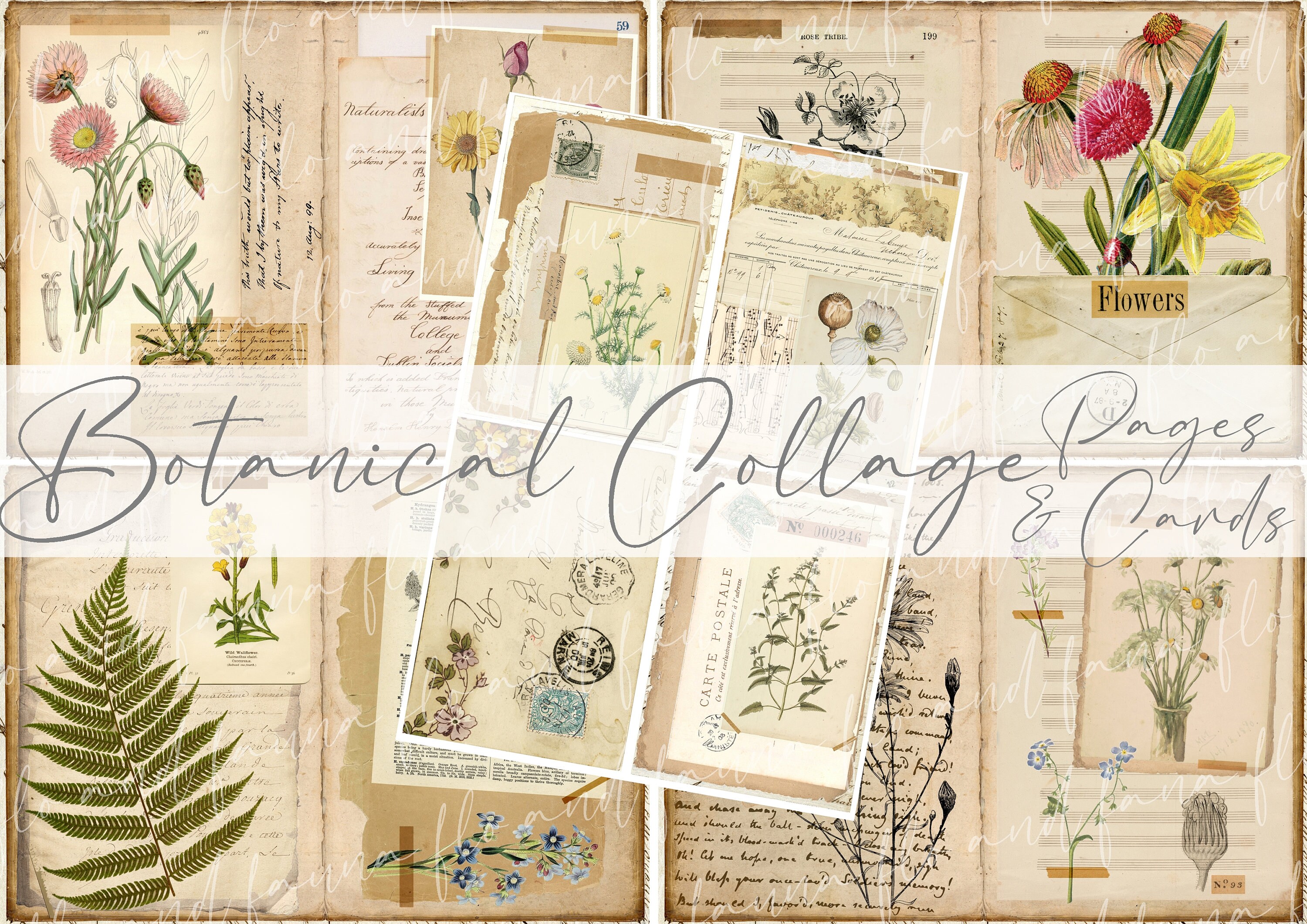 Botanical Collage - Etsy