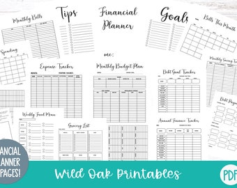 Financial Planner Bundle Printable, Budget Planner, Financial Digital Planner, Expense Tracker, Money Tracker, Sinking Funds,Savings Tracker