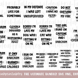 20 sarcastic svg bundle, funny svg quotes, funny sarcastic svg sayings, svg bundles, sarcastic png clipart, sarcastic funny quotes bundle,