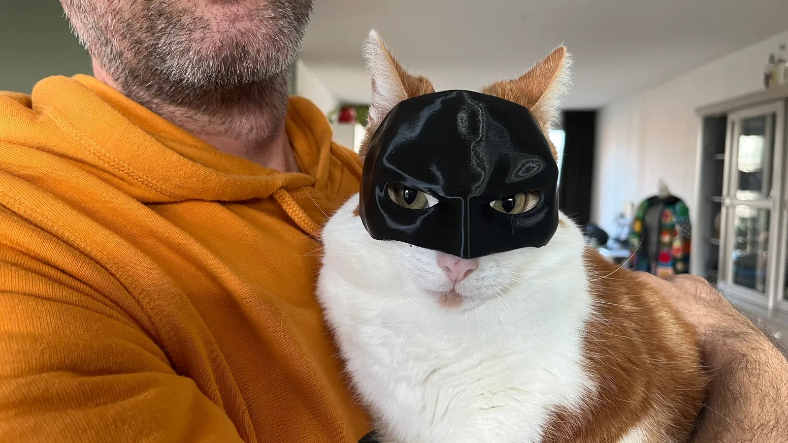 Bat Cat Cat Costume Batman Buddha Geeky 3D Printed Marvel Pop Culture Super Hero Bat Dress up