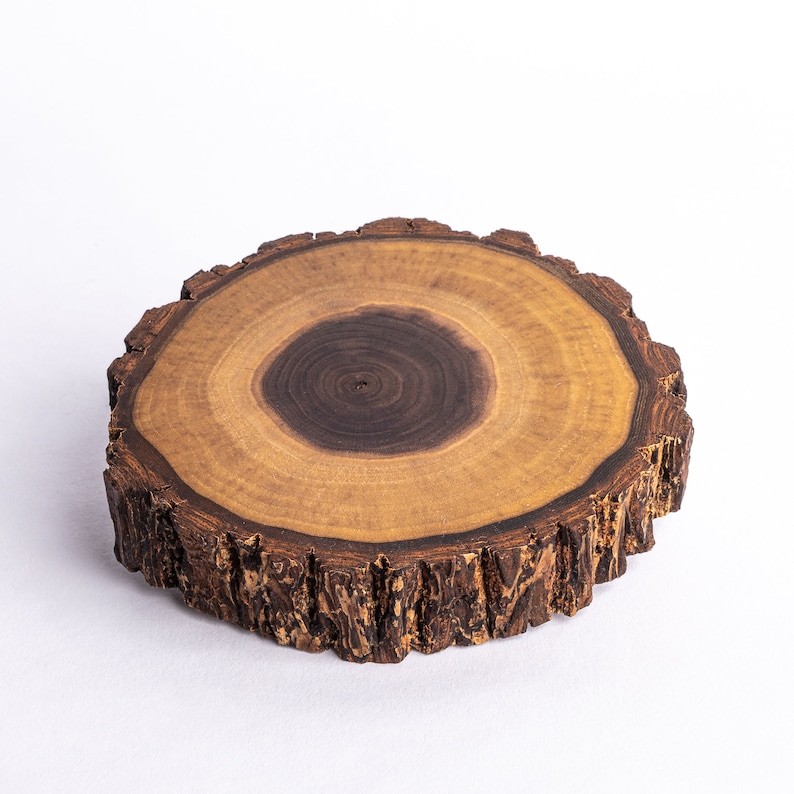 May include: A round wooden coaster with a natural bark edge. The coaster has a dark brown center with light brown rings radiating outwards.
