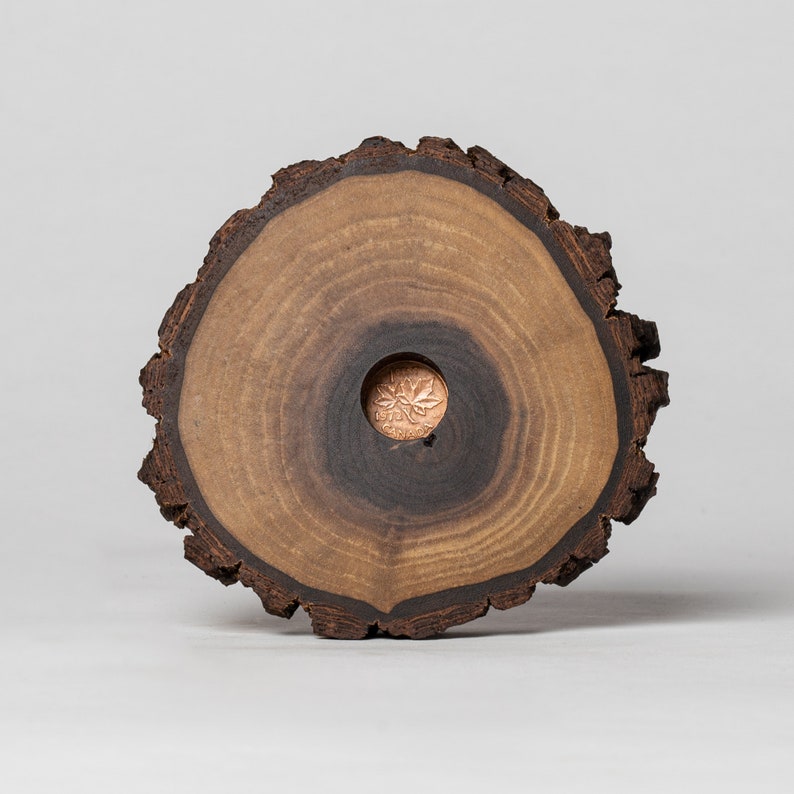 May include: A wooden coaster with a natural brown finish and a circular shape. The coaster has a small hole in the center with a copper penny inside.