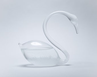 Hand Blown Fitzroy Storm Glass – Antique Weather Predictor, Science Decor