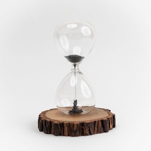 May include: A clear glass hourglass containing black magnetic sand that forms a spike-like structure at the base. The hourglass is mounted on a circular, natural wood slice base with visible bark edges and a detailed grain pattern on the top surface.