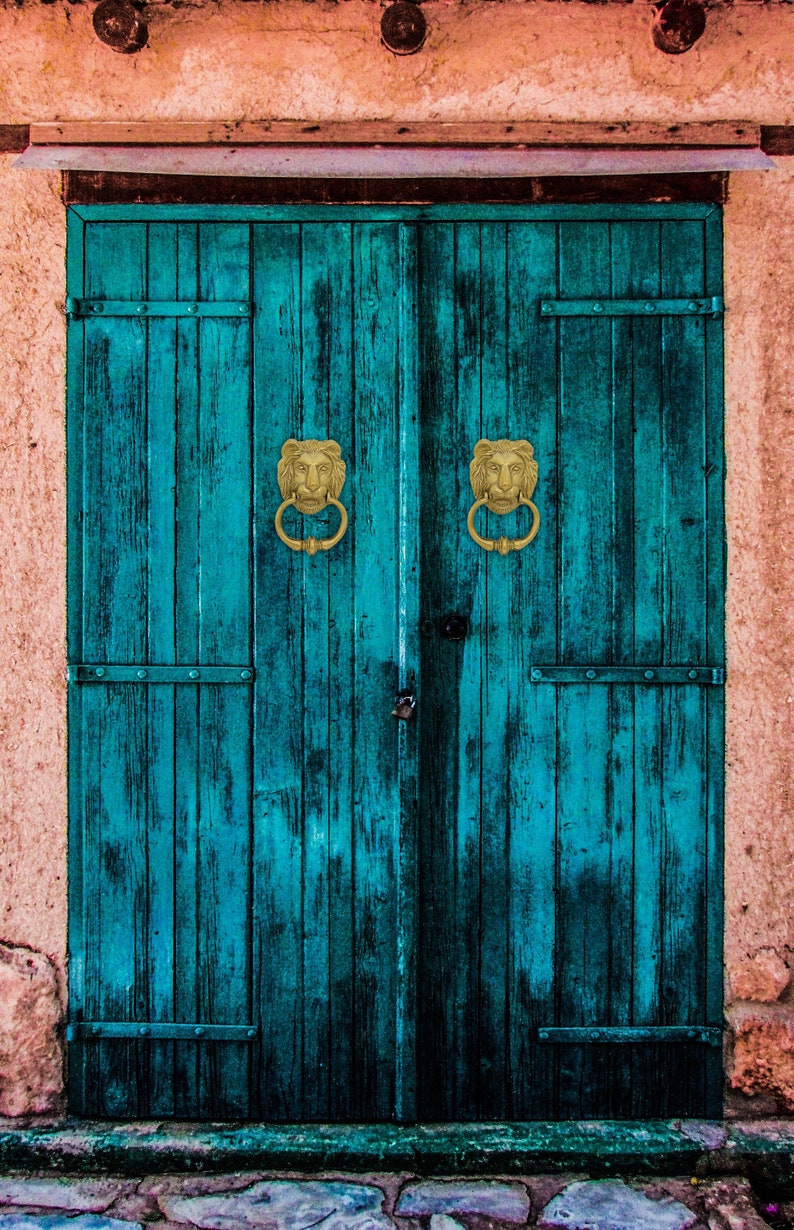 LION HEAD Brass Decoration Door Knocker - Etsy