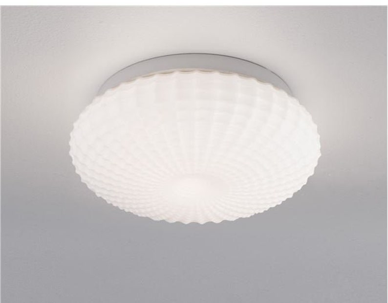 SEASHELL Ceiling Light Mid Century Modern Flush Mount Ceiling Etsy