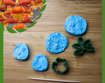 Tiny orchid silicone Veiner and plastic Cutter Set - Perfect for Cold porcelain, Polymer Clay and Fondant. Exotic flower set