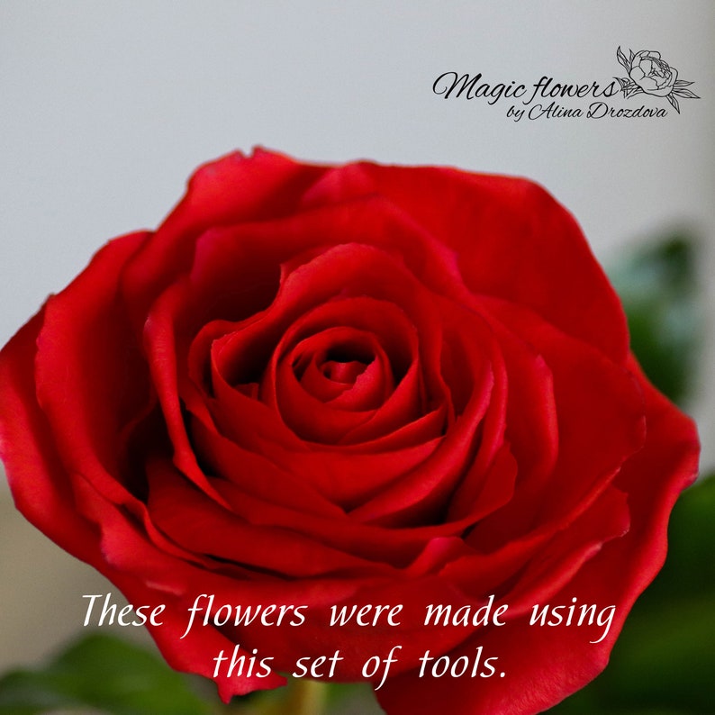May include: A close-up of a single, deep red rose. The rose is in focus and the background is blurred. The text "Magic flowers by Alina Drozdova" and "These flowers were made using this set of tools." is visible at the top and bottom of the image.