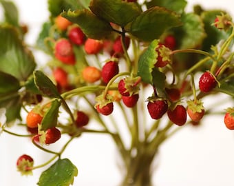 Wild strawberry plant -artificial berries out of cold porcelain