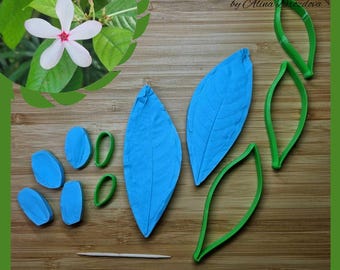 Kopsia Flower / Shrub Vinca silicone Veiner and plastic Cutter Set  for Cold porcelain, Polymer Clay and Fondant. Exotic flower mold set