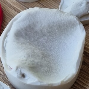 May include: A white silicone mold with a textured surface, resembling a flower bud.
