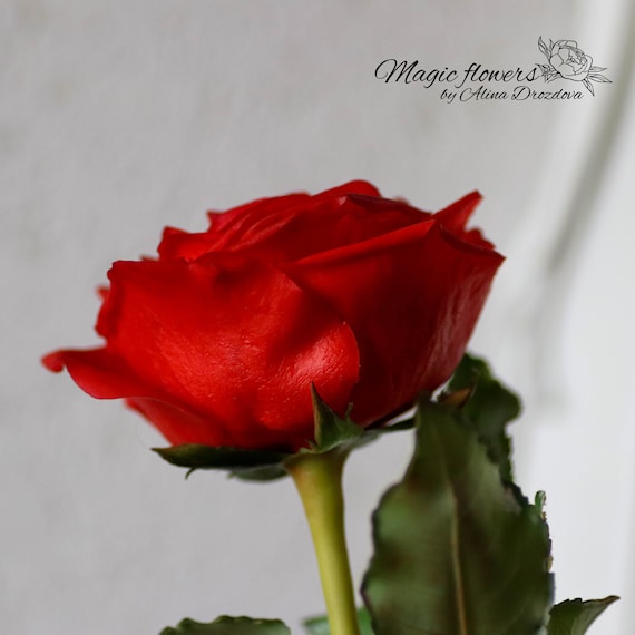 Flor artificial de rosa roja de porcelana fría - Etsy España Flor artificial de rosa roja de porcelana fría - Etsy España