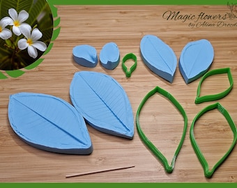 Frangipani flower silicone veiner/mold and plastic cutter set