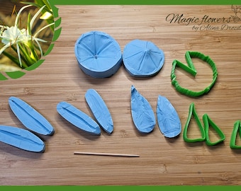 Hymenocallis (Spider lily) flower silicone veiner/mold and plastic cutter set