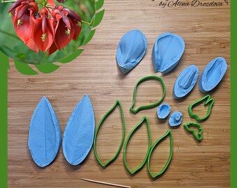 Erythrina (Coral tree) flower silicone veiner/mold and plastic cutter set
