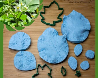 Solanum silicone veiner/mold and plastic cutter set. Exotic plant tools set- perfect for cold porcelain, gumpaste, clay and fondant
