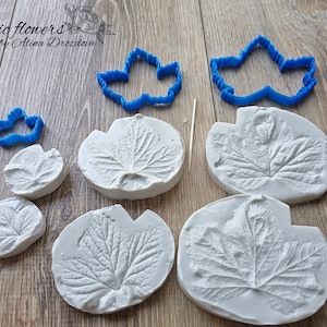 Puede incluir: Un juego de seis moldes de silicona blanca para hacer decoraciones con forma de hoja. Los moldes están dispuestos sobre una superficie de madera. También se incluyen dos cortadores de hojas de plástico azul.