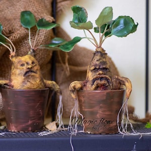 Może przedstawiać: Dwa ręcznie robione ceramiczne doniczki z brązową glazurą, każda z groteskową, ludzką twarzą z zębami. Doniczki są wypełnione zielonymi, liściastymi roślinami i mają długie, białe korzenie zwisające w dół.