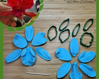 Cattleya orchid silicone Veiner and plastic Cutter Set - Perfect for Cold porcelain, Polymer Clay and Fondant. Exotic jungle flower
