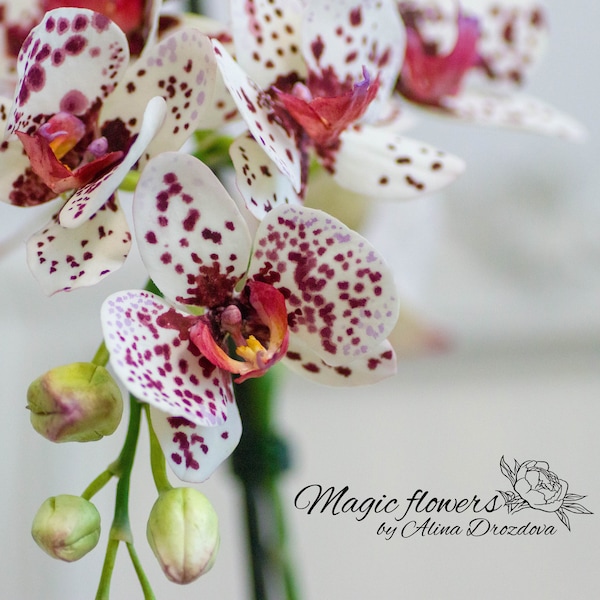 Orchidée phalaenopsis tachetée de pourpre - fleur artificielle en porcelaine froide